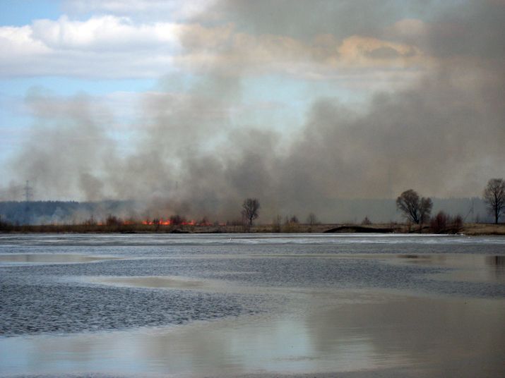 Пожары в Кстовском районе: горят луга. Недалеко и до домов. 
