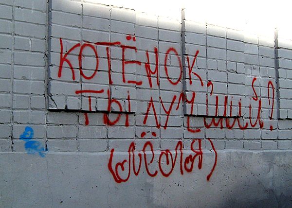 Кстово  Любовь, Котенок и Леля